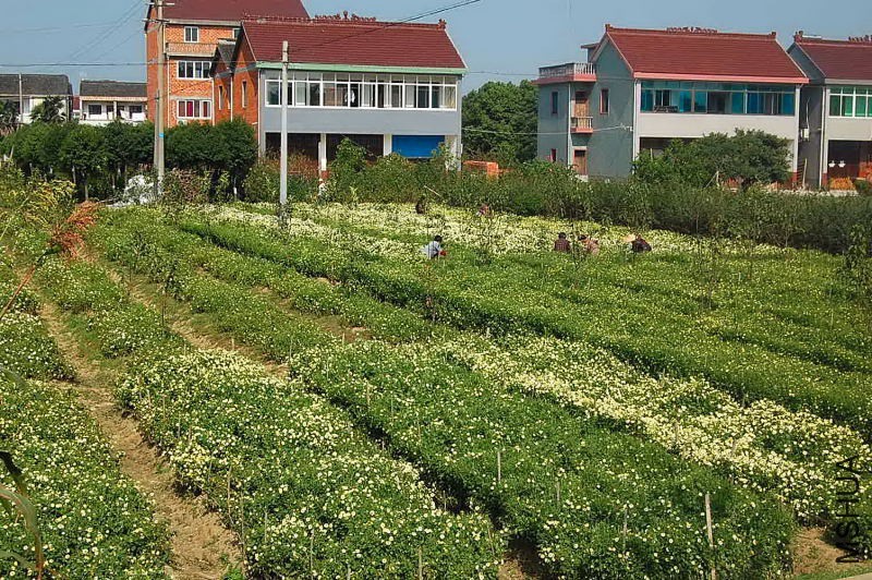 040842m201kl1szlvyufj7.jpg
