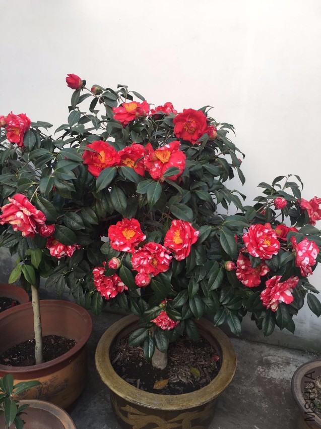 ΢��ͼƬ_20170326173243.jpg