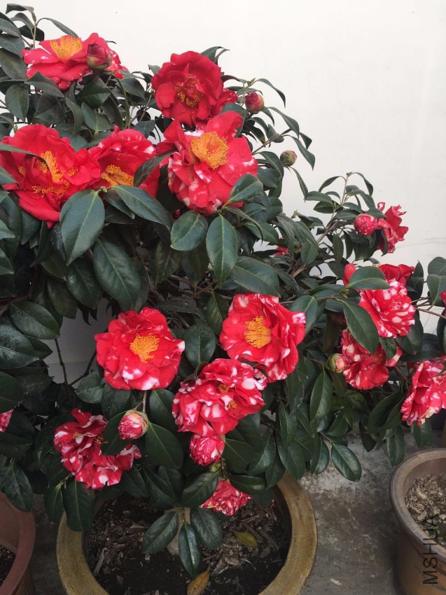 ΢��ͼƬ_20170326173259.jpg