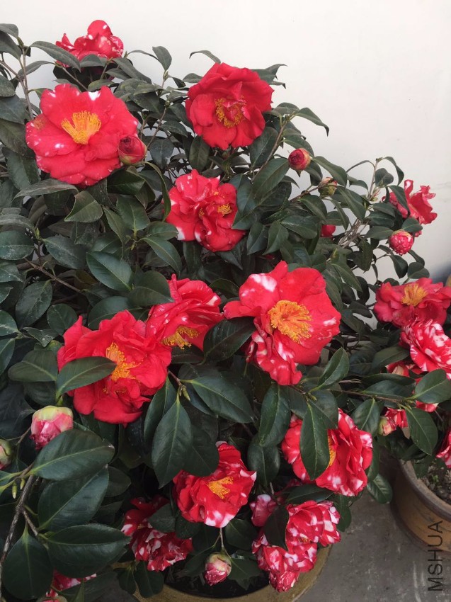 ΢��ͼƬ_20170326173347.jpg
