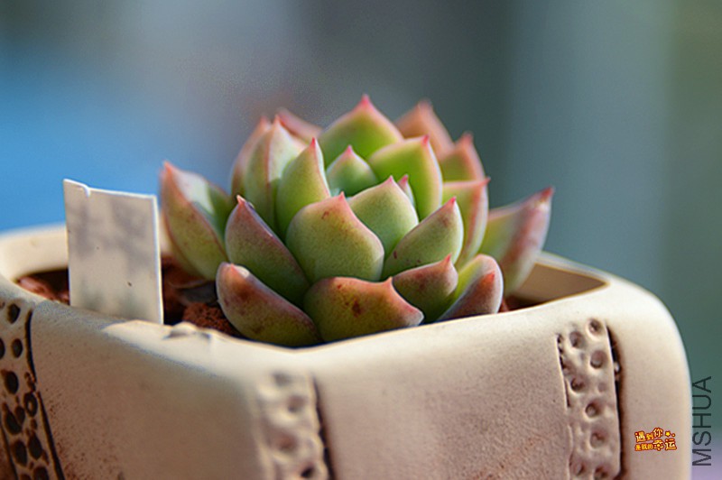 ��Ƭ 150_����.jpg