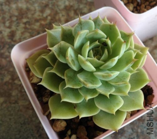 QQͼƬ20150910165815.jpg