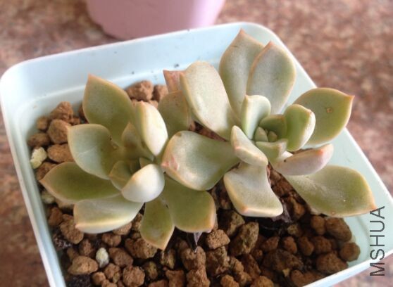 QQͼƬ20150910165821.jpg