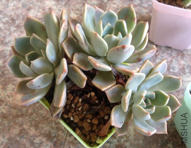 QQͼƬ20150910165755.jpg