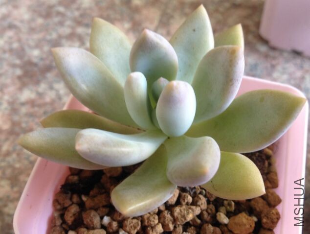 QQͼƬ20150910165807.jpg