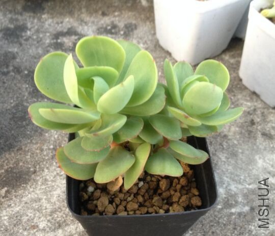 QQͼƬ20151017193647.jpg