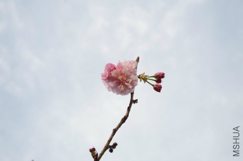 IMGP2188.JPG