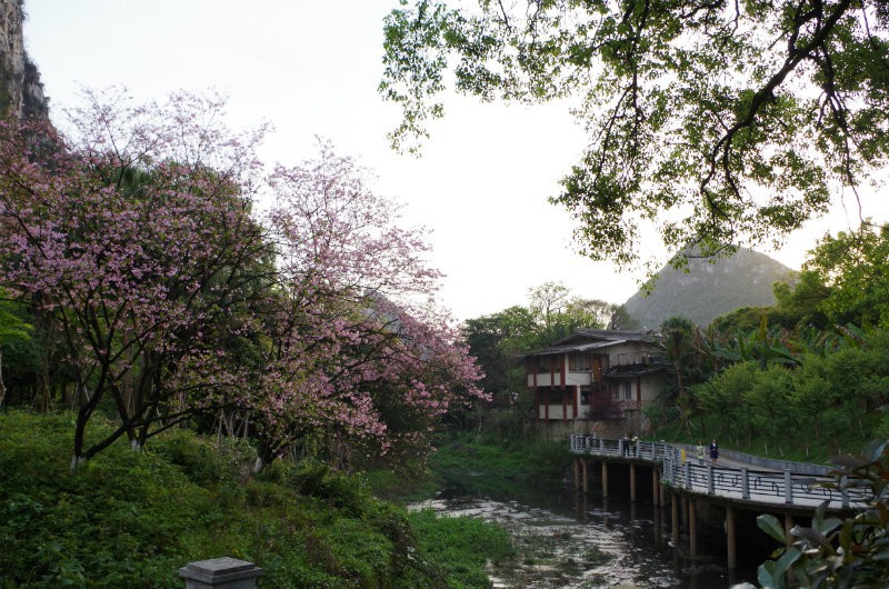 IMGP2208.JPG