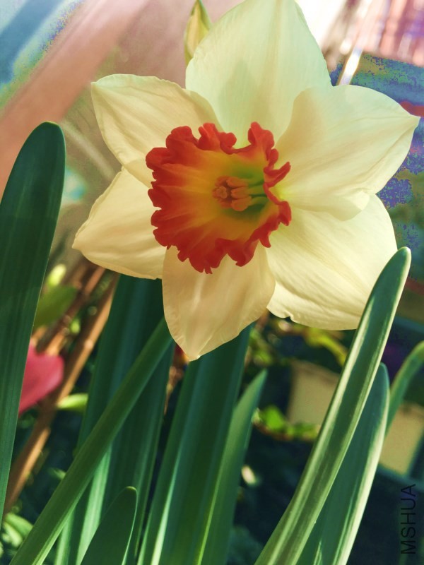 ��ˮ�����ڿ��� ��Ư��