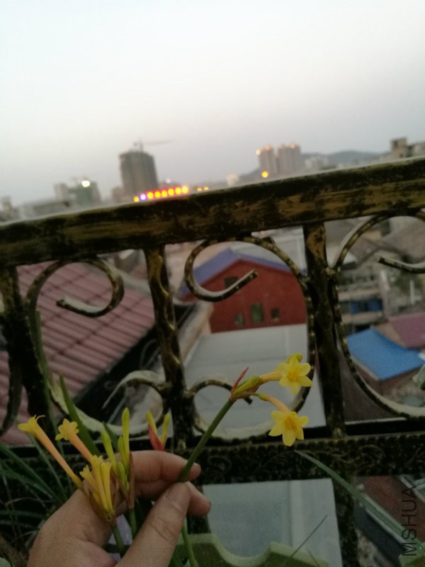 IMG_20170301_183252.jpg