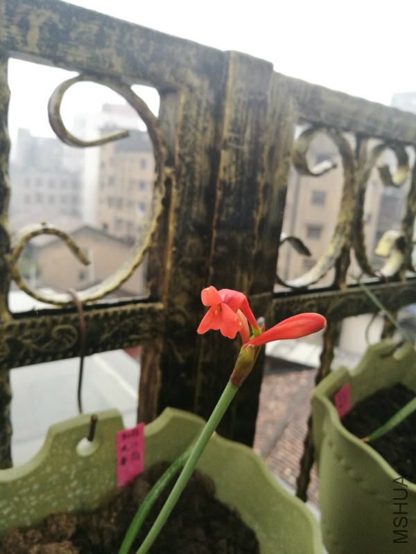 IMG_20170305_100700.jpg