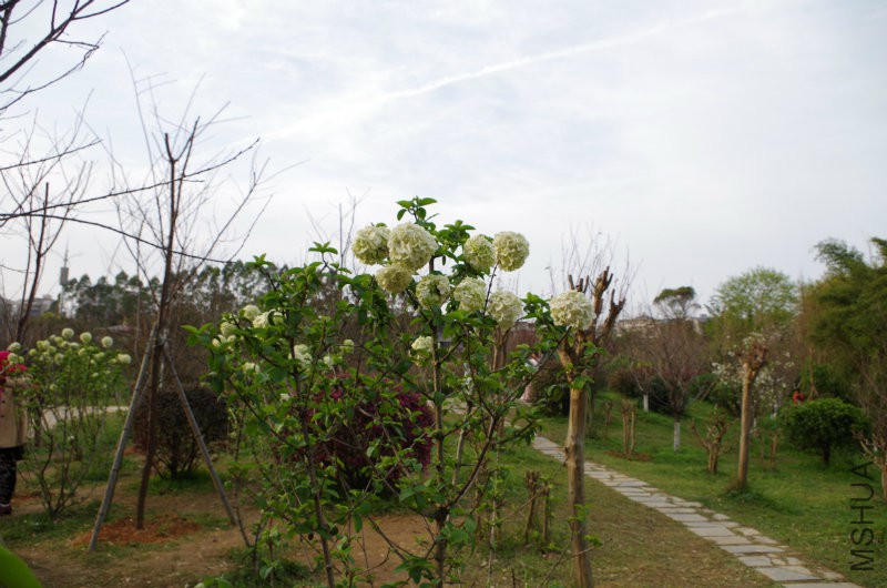 IMGP2170.JPG