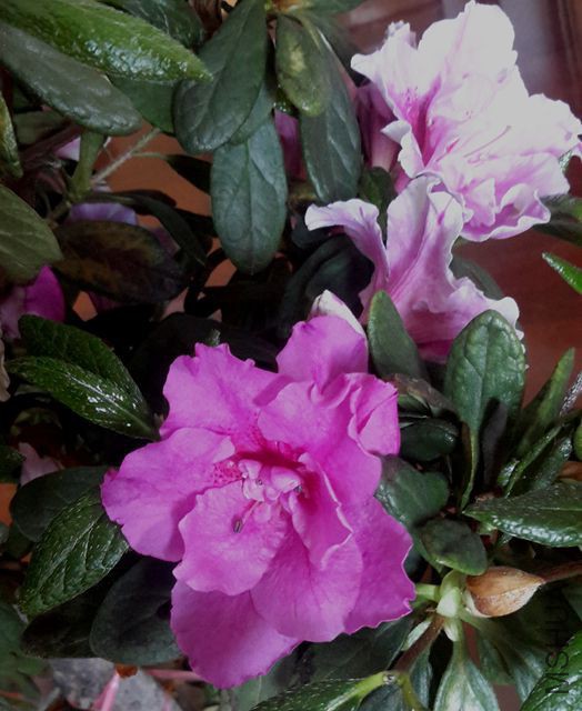 20170327_122357_����.jpg