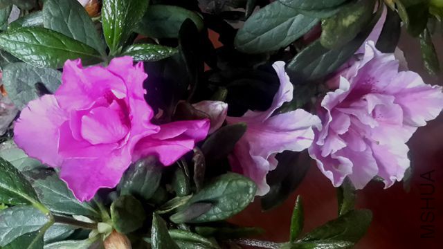 20170326_140046_����.jpg