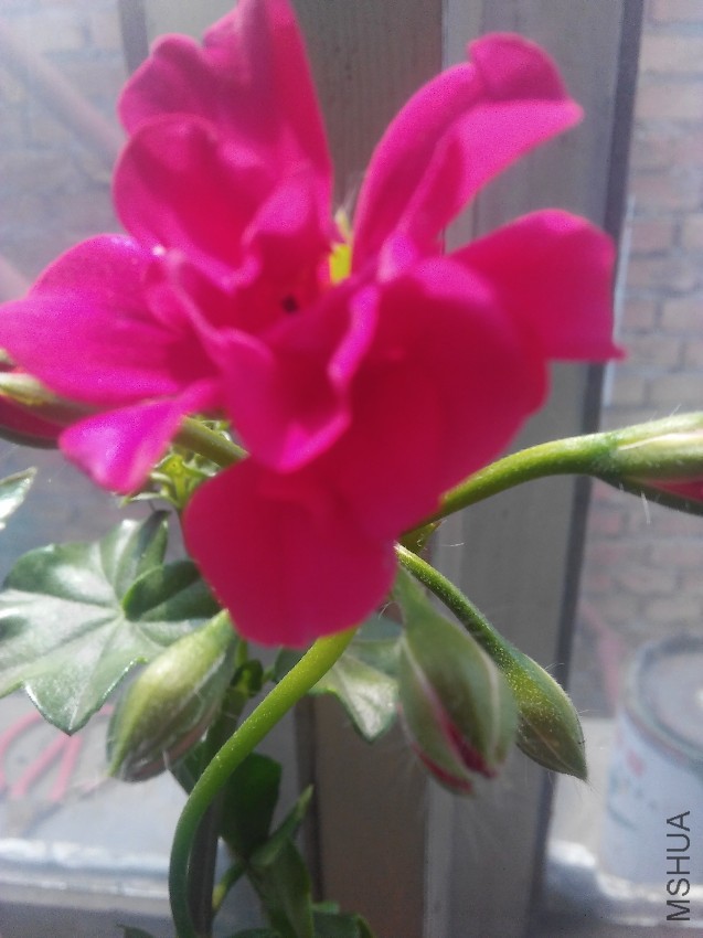 IMG20170328110143.jpg