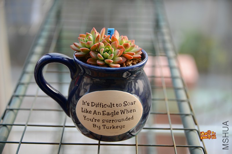 ��Ƭ 596_����.jpg