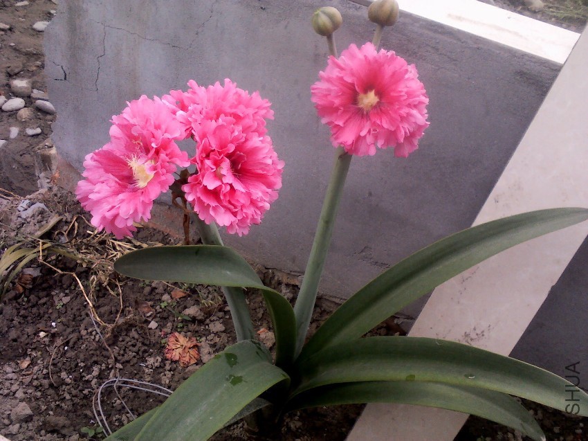 YP20140520165042.jpg