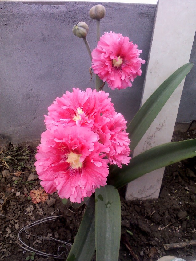 YP20140520165121.jpg