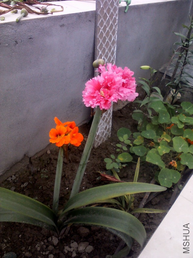 YP20140520165130.jpg