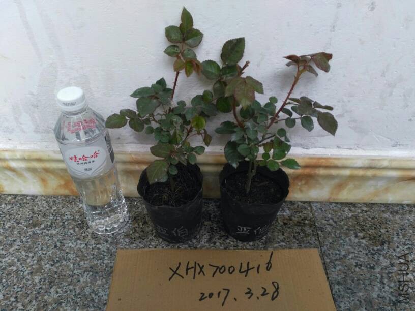 214900moooz6oldomkqn0m.jpg