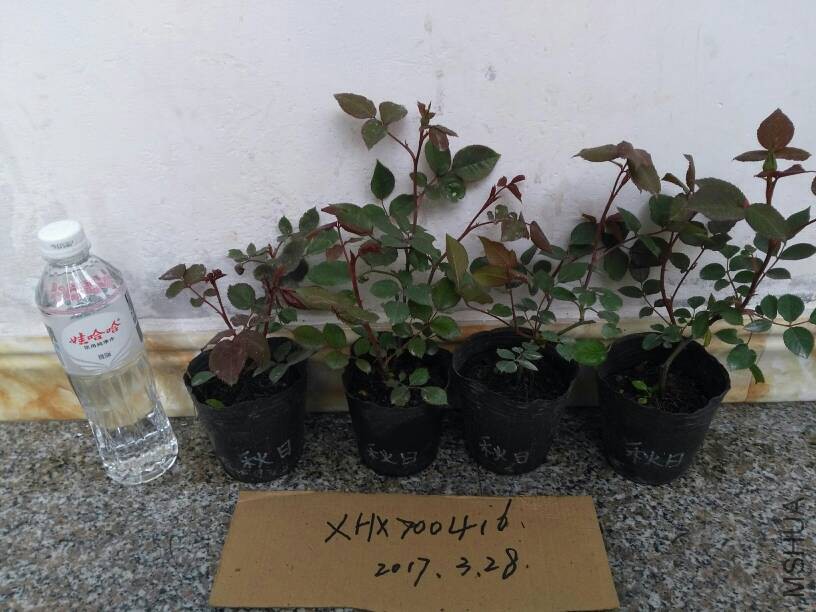 214902ll6akfsgei2ffai2.jpg