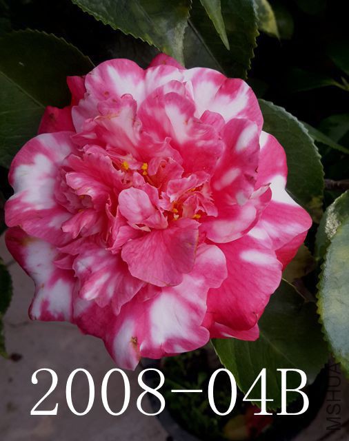 20170326_144610_����.jpg