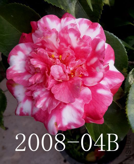 20170326_144611_����.jpg