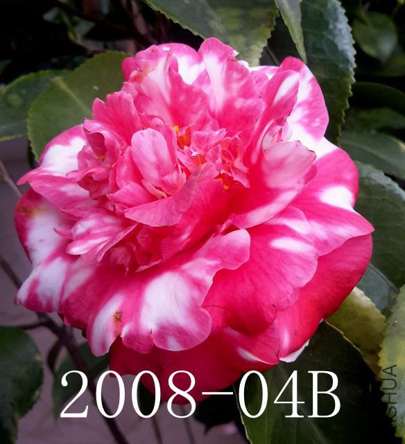 20170326_144622_����.jpg