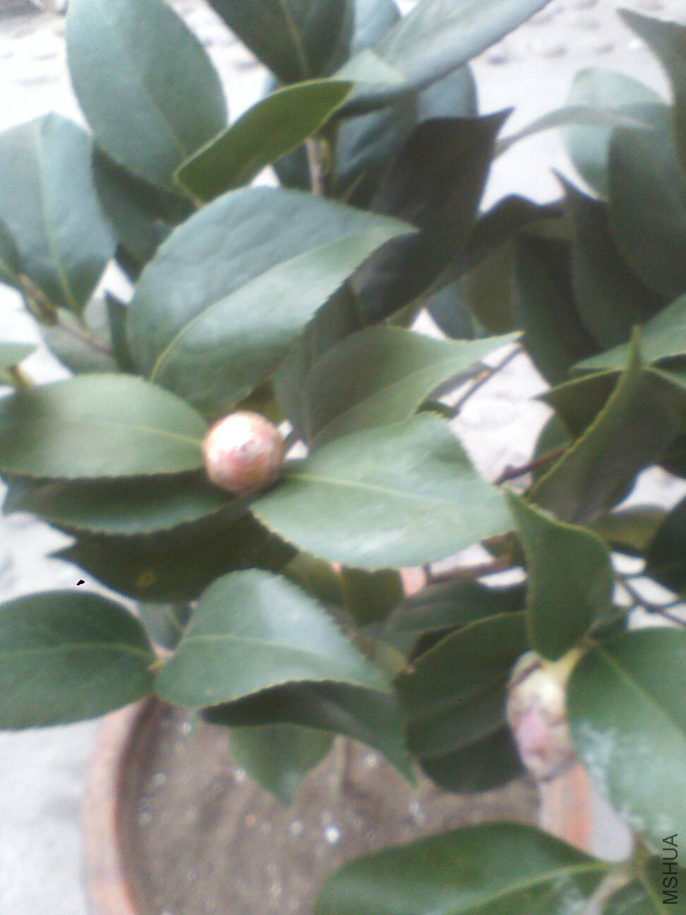 124839g1f5111is6fdsfnj.jpg