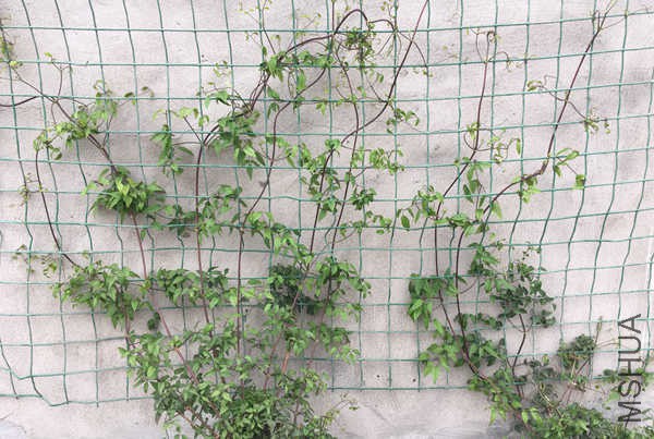 ��50+������������