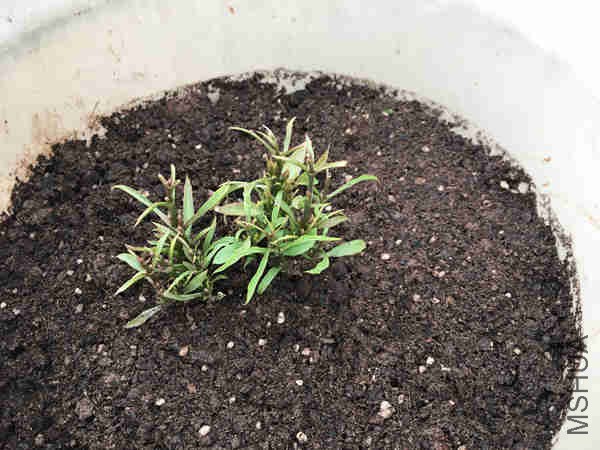 ��ϵ�ָ����õĽ��