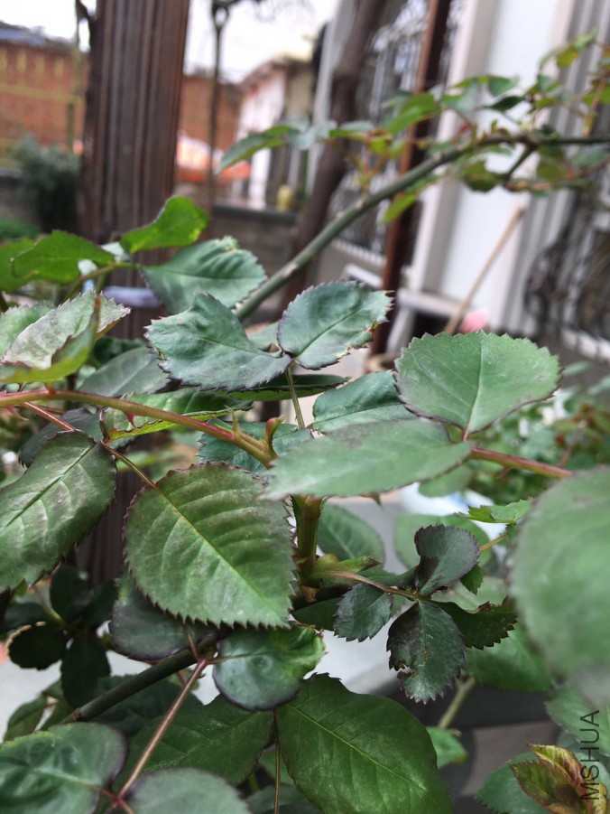 һ�������ڼ������ڣ�Ĩ��Ĩ�Ÿо���Ĩ���ˣ��⻹�л�����