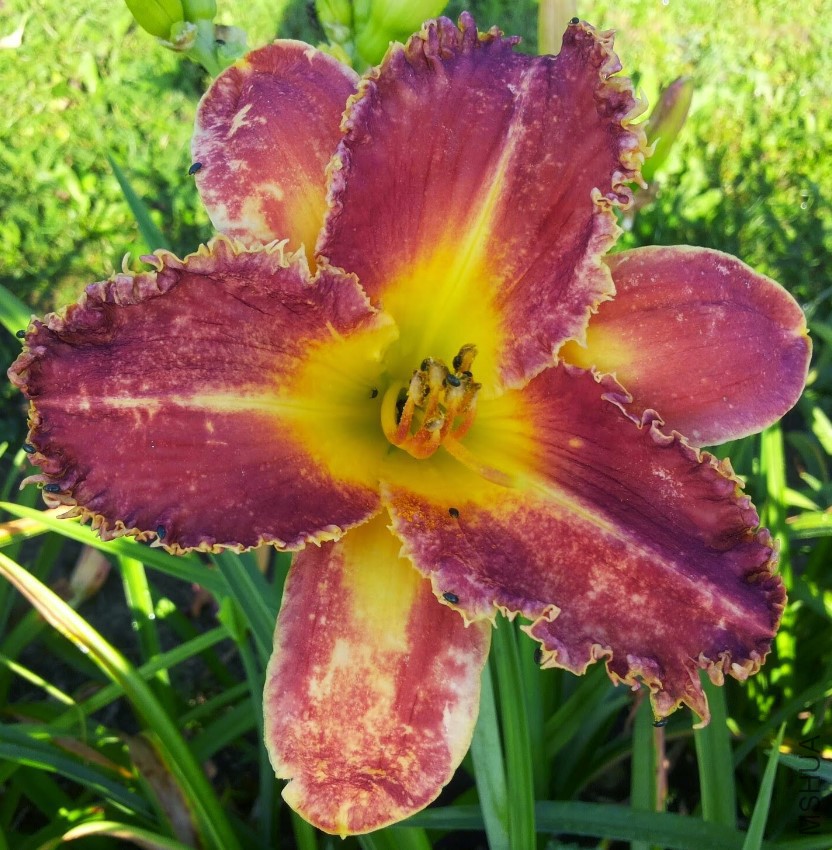 Arnie Oseland x unknown 5.jpg