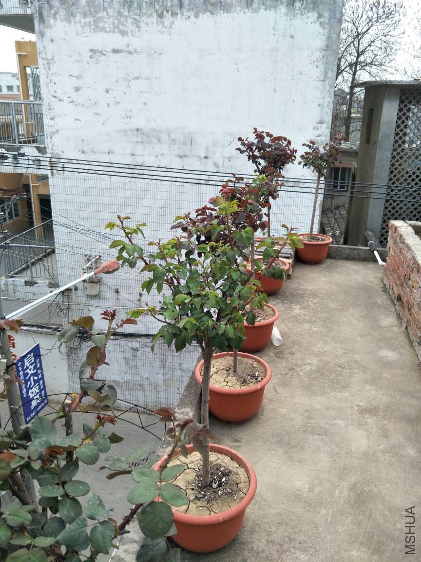 181122eykjuirsegsppstz.jpg