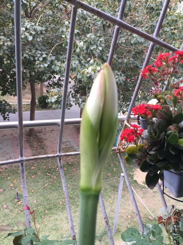 2017.3.25��