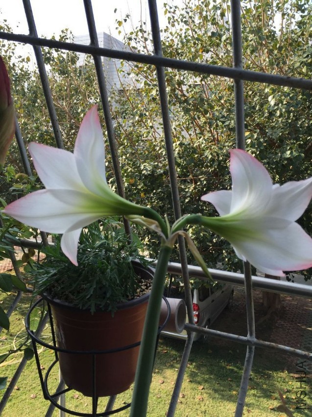 29��  ���껹û��ȫ��