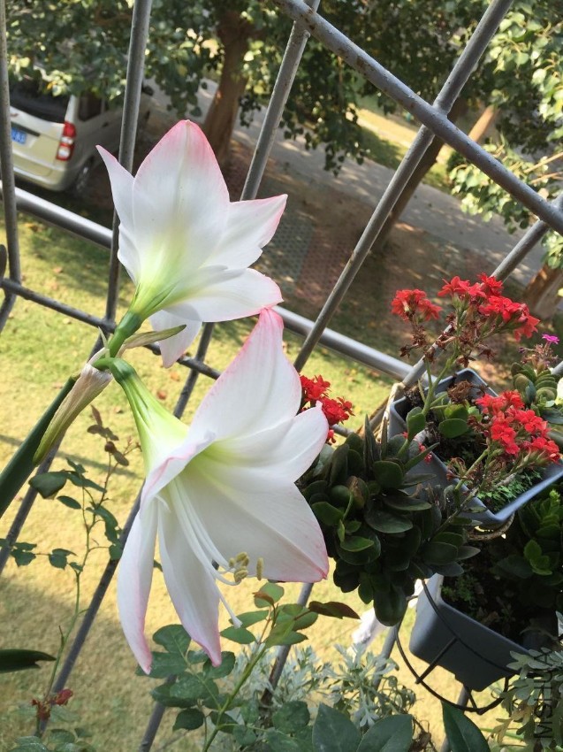 QQͼƬ20170330083634.jpg