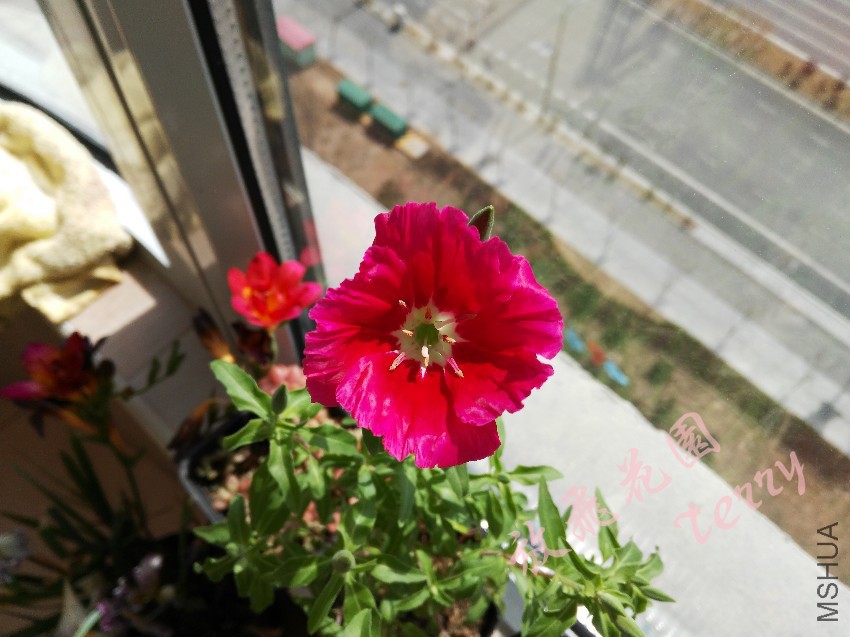 ��Ƭ 339_����.jpg