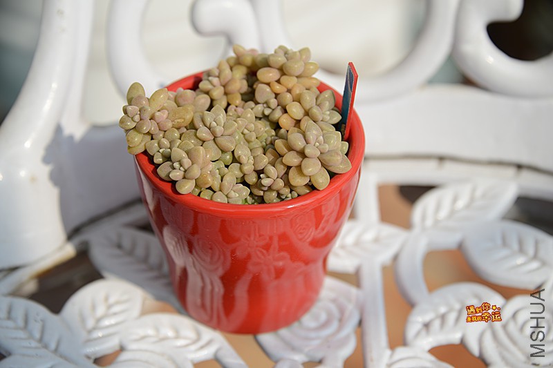 ��Ƭ 170_����.jpg