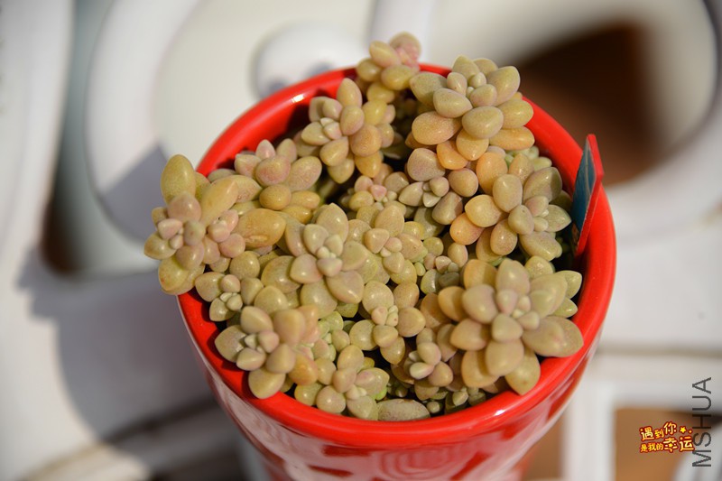 ��Ƭ 173_����.jpg