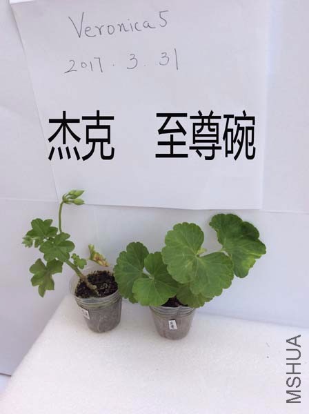 QQͼƬ20170331113718.jpg
