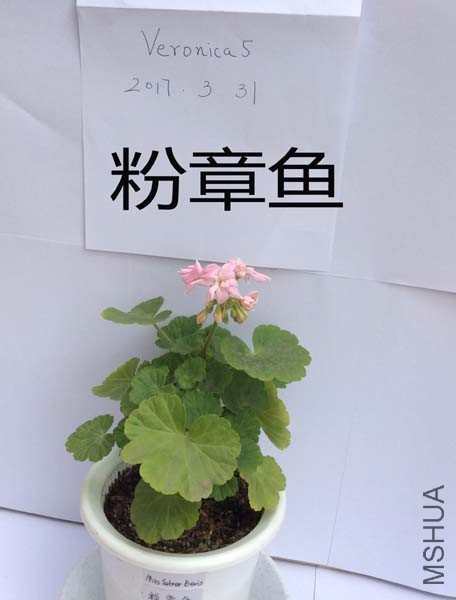 QQͼƬ20170331113727.jpg