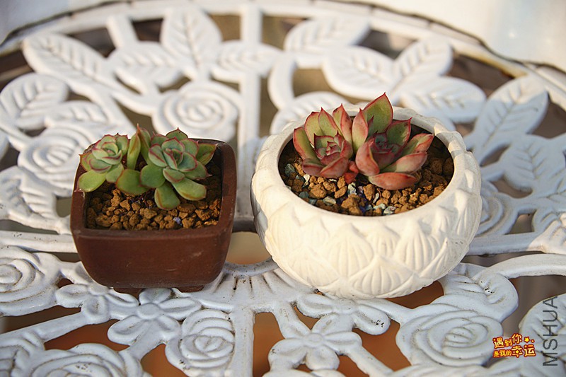 ��Ƭ 468_����.jpg