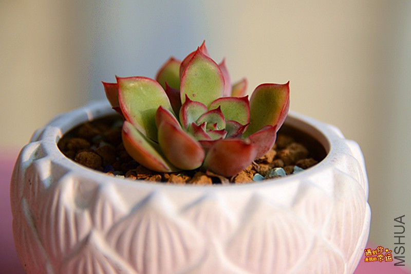 ��Ƭ 475_����.jpg