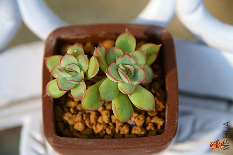 ��Ƭ 473_����.jpg