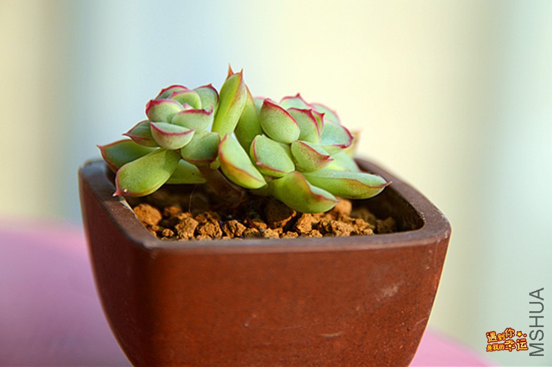 ��Ƭ 477_����.jpg