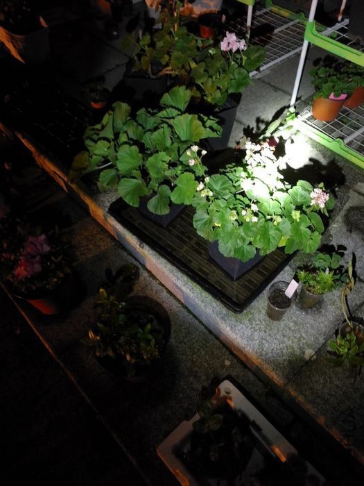 nEO_IMG_İ�� (3).jpg