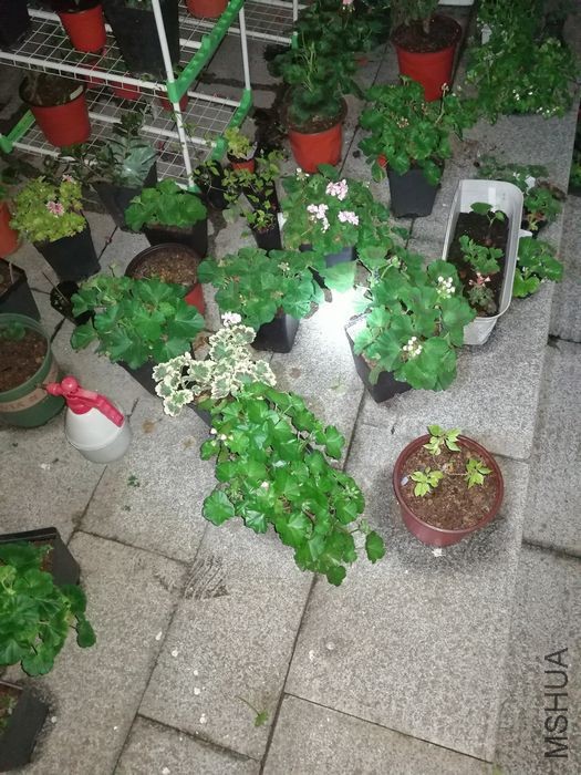 nEO_IMG_İ�� (2).jpg