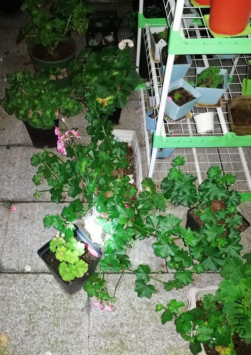 nEO_IMG_İ�� (6).jpg