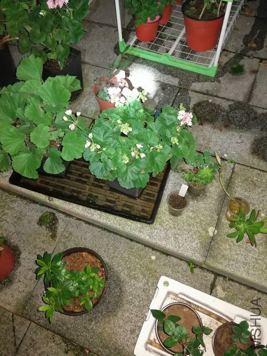 nEO_IMG_İ�� (5).jpg